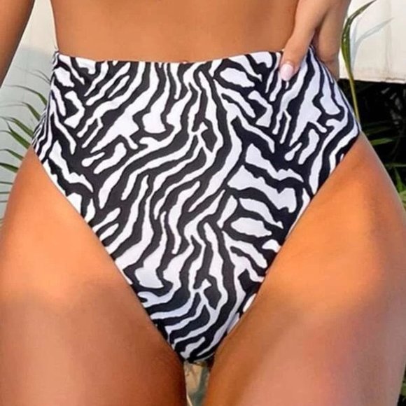 Zebra Striped Bikini Panty - Picture 1 of 3